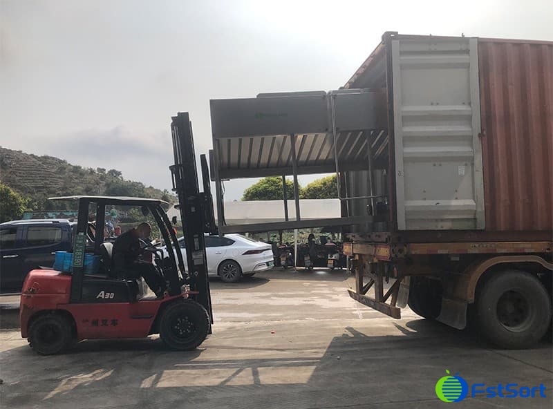 images/1712119733390amaryllis bulb cleaning machine delivery.jpg